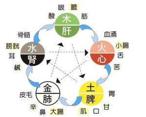 五行 個性|五行人格:理論簡介,套用價值,理論基礎,身形特徵,性格特徵,養生表,。